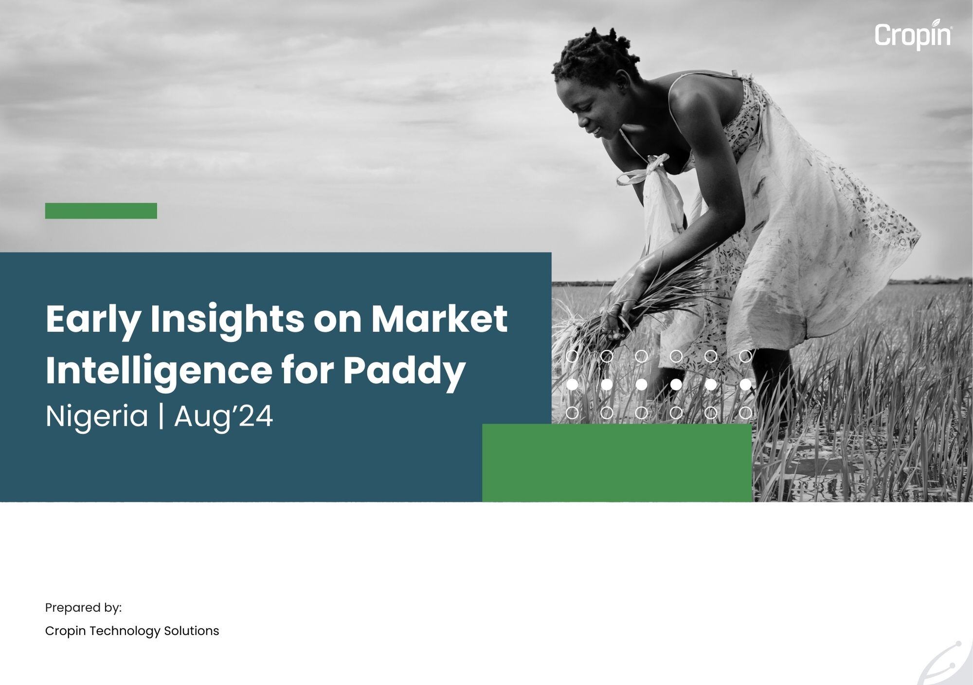 Early Insights on Market Intelligence for Paddy Nigeria  Aug’24