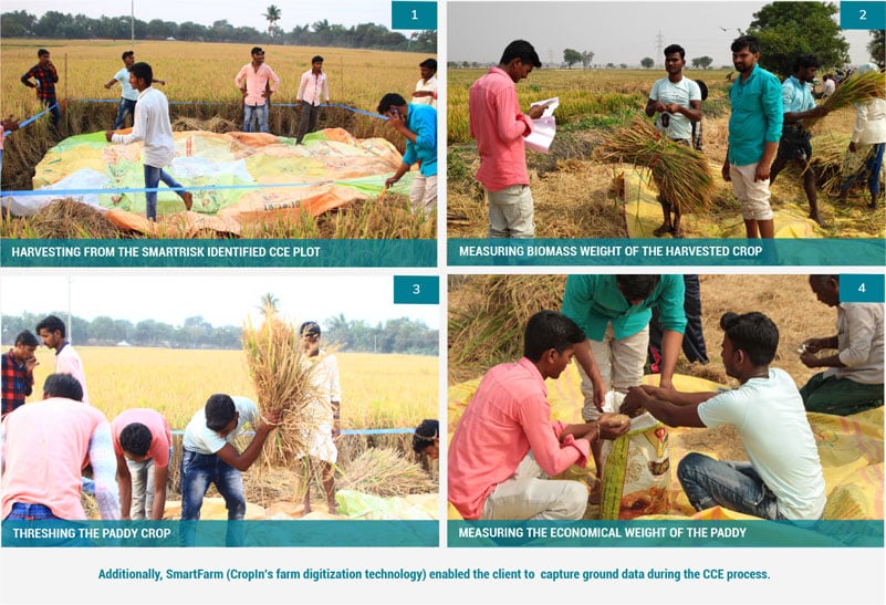 yield estimation using crop cutting experiments in India