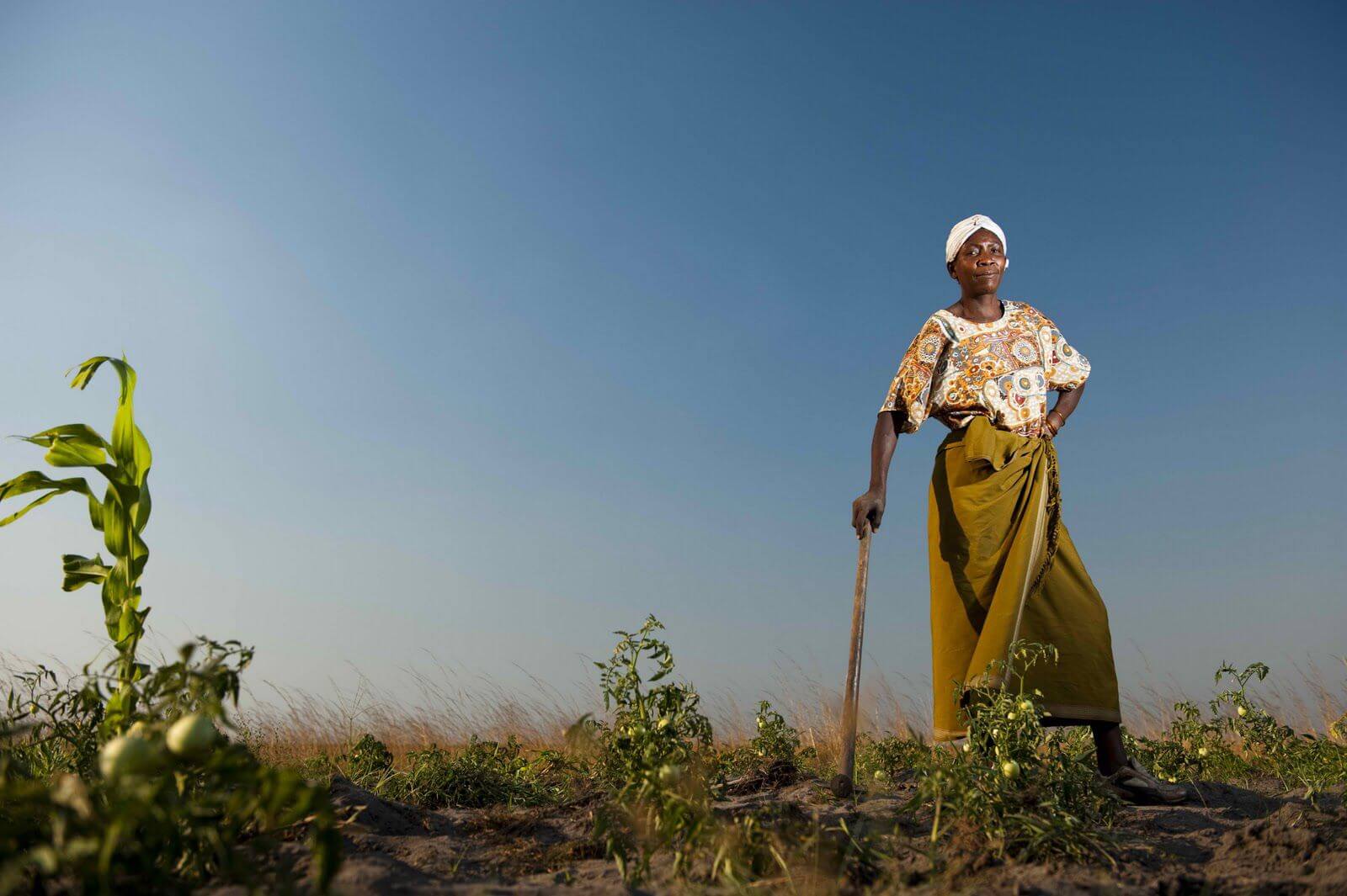 SDG For Agriculture: Integrating Gender Equality & Women Empowerment