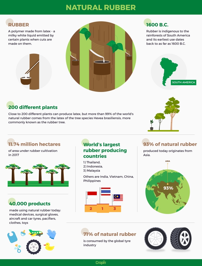 How Does CropIn Promote Sustainable And Equitable Natural Rubber Value 