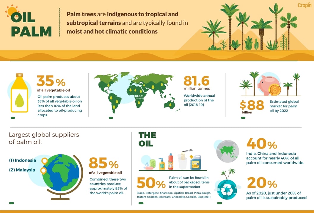 How Does Last Mile Traceability Help Oil Palm Producers Achieve Sustainability Goals 8951