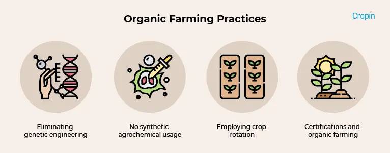 Sustainable Agriculture Practices Vs Organic Practices