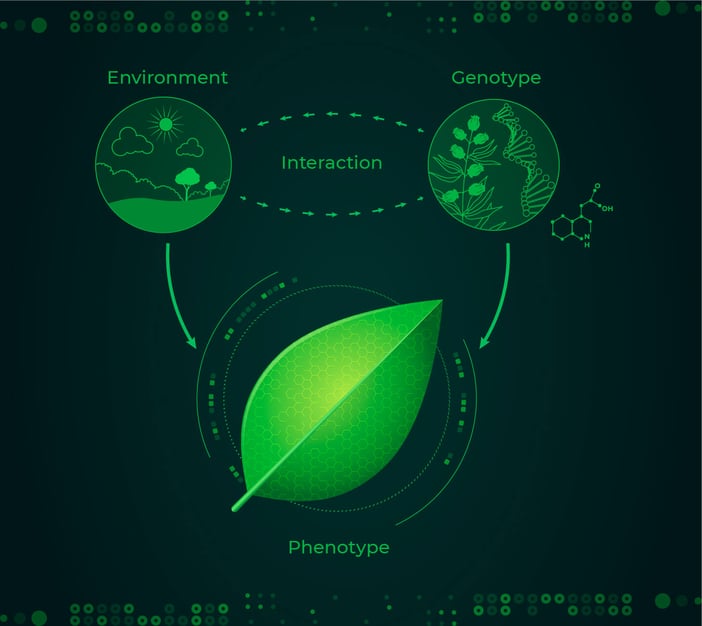 Phenotyping-01