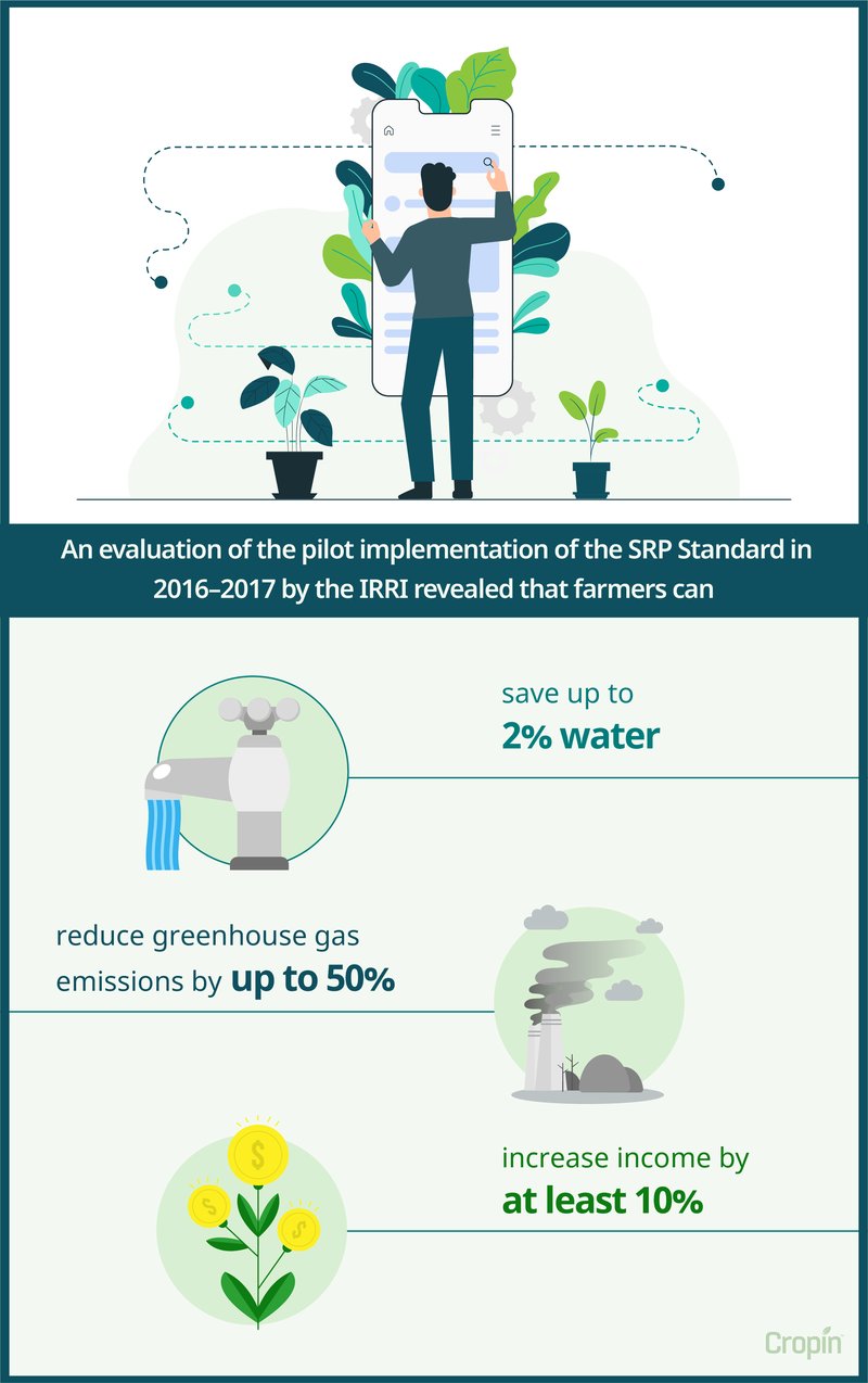 SRP-Implementation-Infographics-01