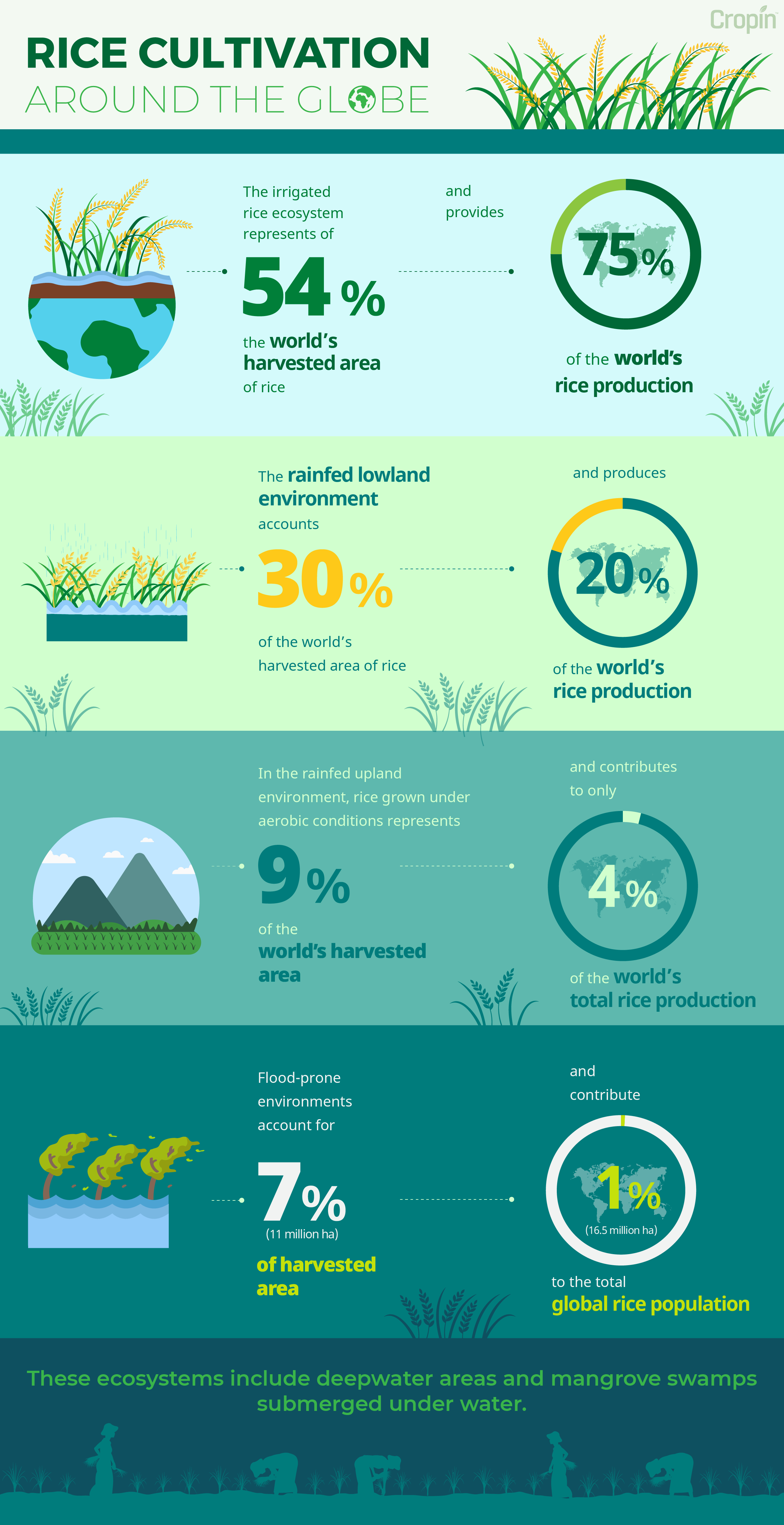 Sustainable Rice Cultivation Practices | CropIn