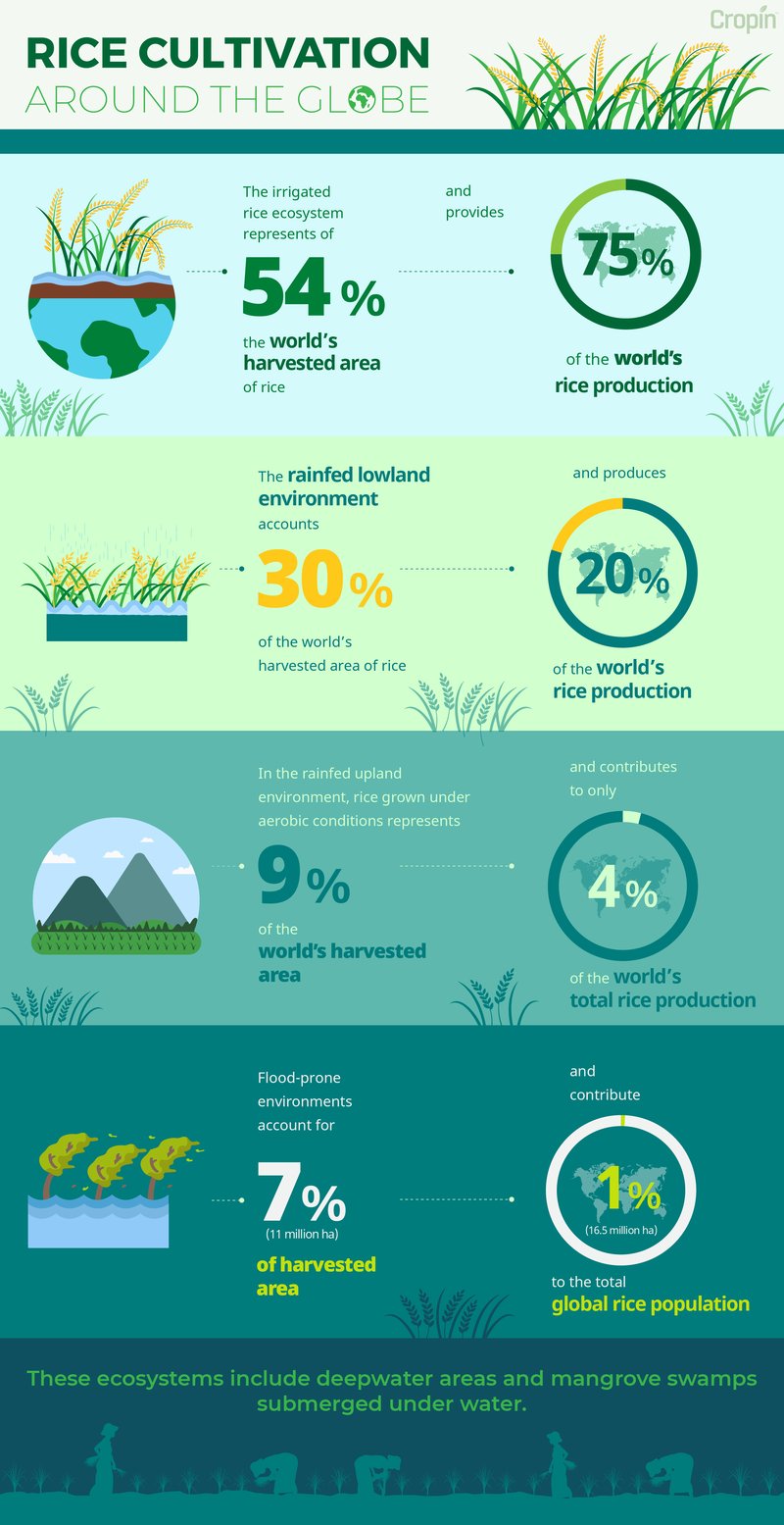 SRP-Infographics-A