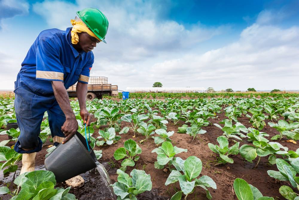 CropIn & Agriculture Tech