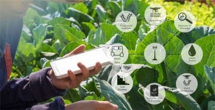 ICT in Agriculture & Digital Farming