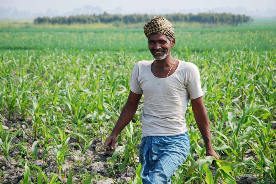 kharif crop production