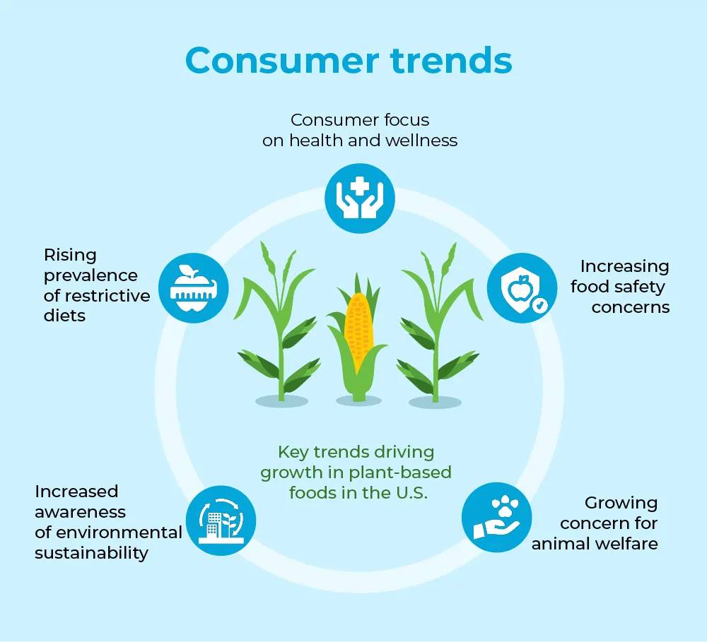 Regenerative Agriculture And Consumer Trends