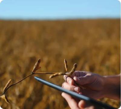 safaricom used cropins smartfarm solution to audit farmlands and multiple crop varieties case study