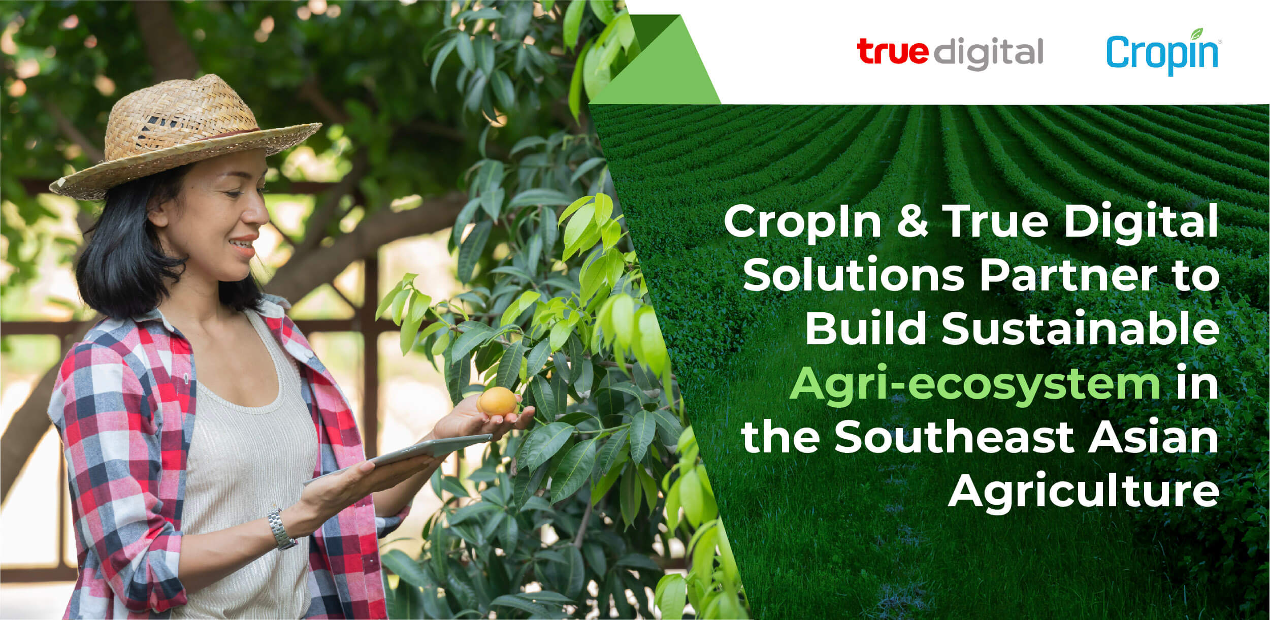 Cropin And True Digital Solutions Partner To Build Sustainable Agri ...