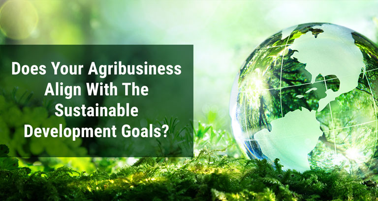 Does Your Agribusiness Align With The Sustainable Development Goals?