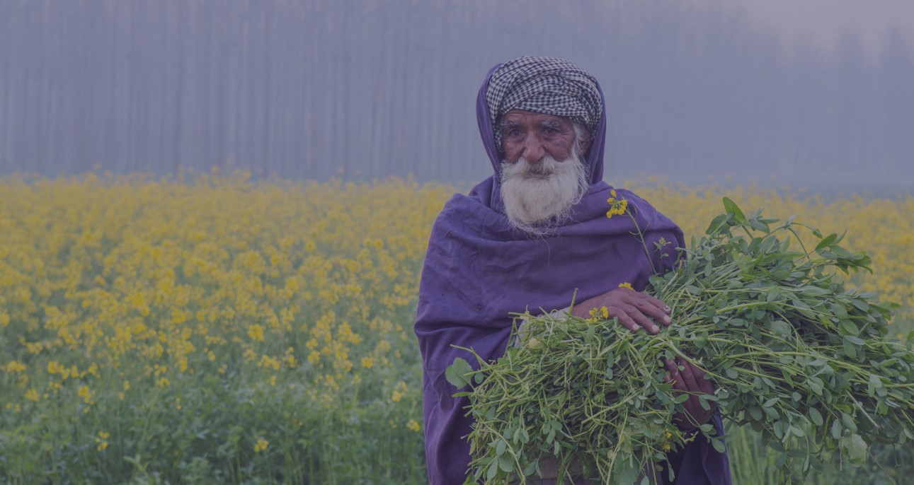 PAGREXCO and Cropin join hands to drive transparency of organic produce – Mapping the journey with Agtech