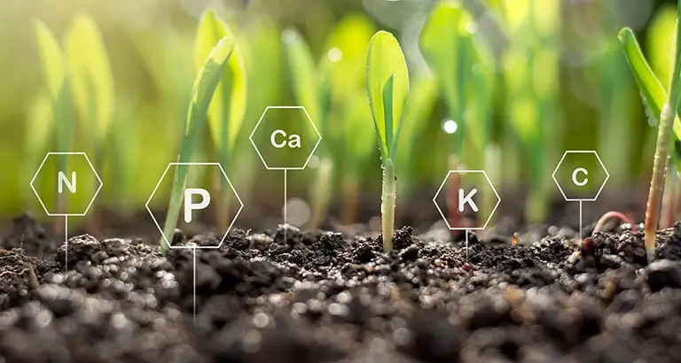 Biosequestration- A Sustainable Approach to Agriculture-Cropin