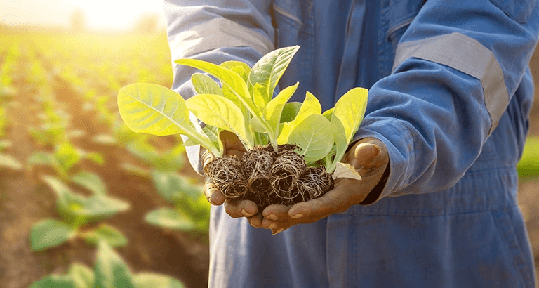 Carbon Farming - 10 Practices that Promote Soil Health and Sustainable Food Production - Cropin