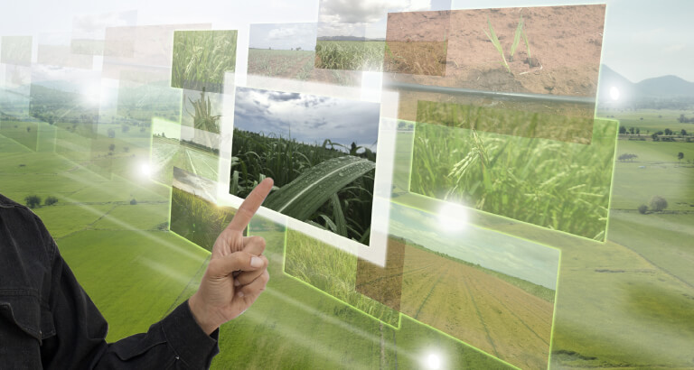 Optimizing the Organic Food Supply Chain with Agriculture Tech - Cropin