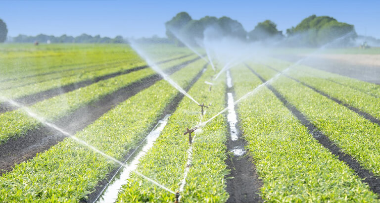 Water Conservation in Agriculture- 5 Water Conservation Methods to Promote Sustainable Agriculture - Cropin